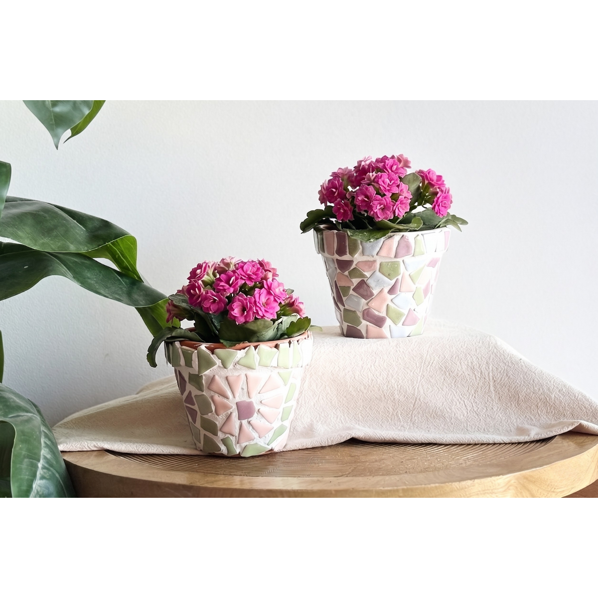 Pastel Mix