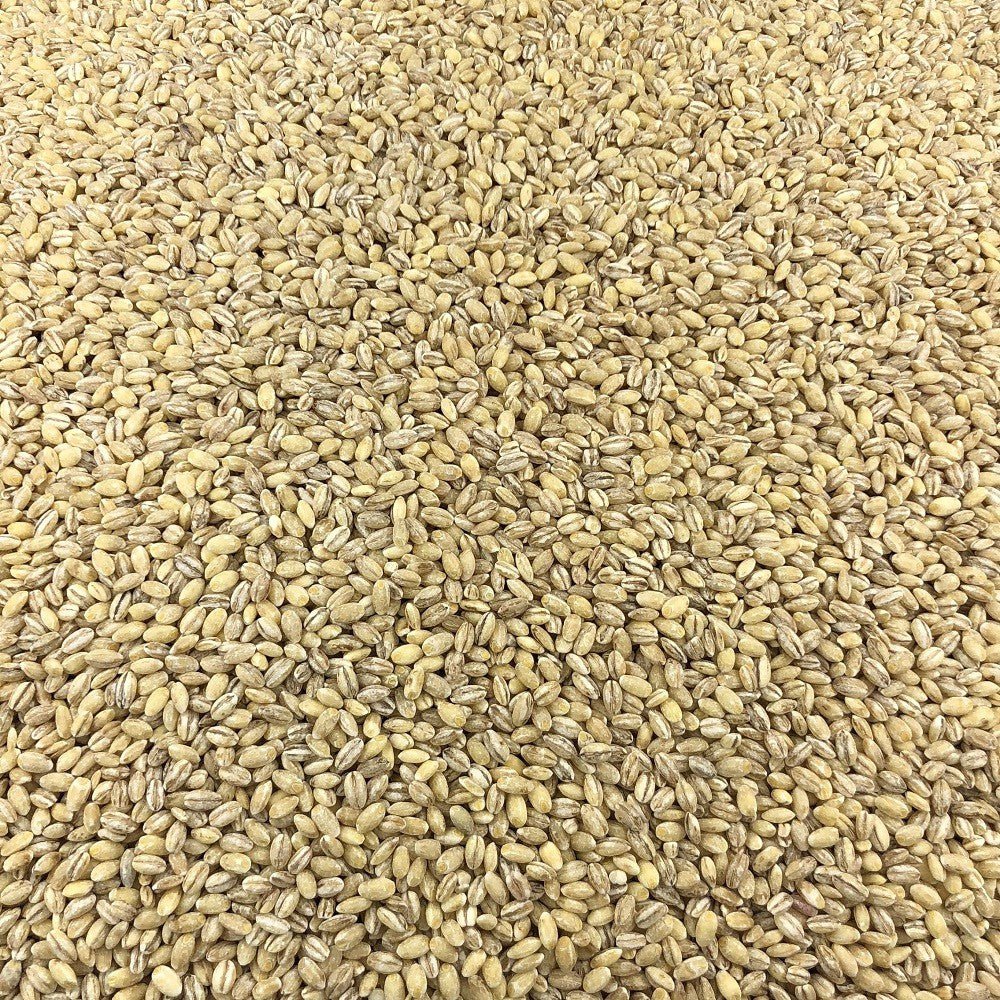 Organic Barley in Bulk