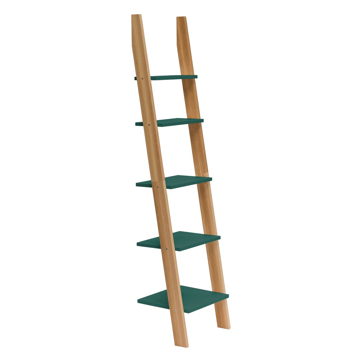 ASHME Laddershelf