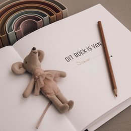 Growing up book - 1 to 4 years