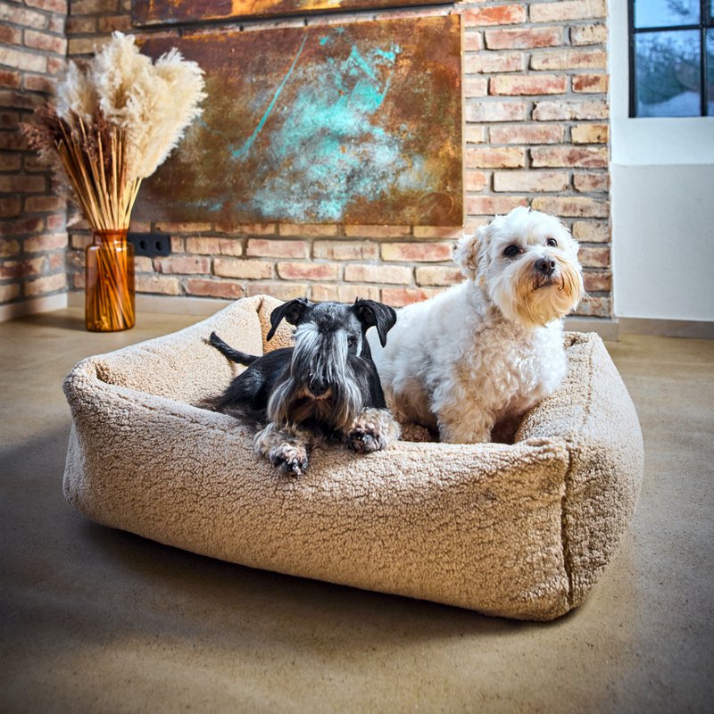 TEDDY I KLASSISK HUNDEBETT