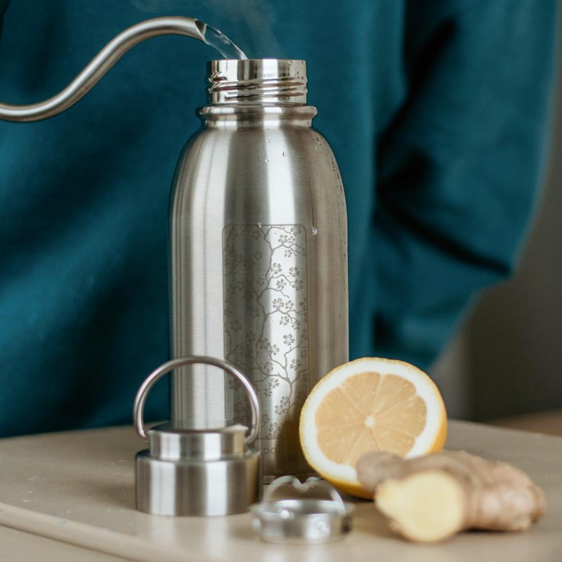 Gaspajoe rustfrit stål isoleret flaske, FRIENDLY+ model 700ml med infuser - CHERRY