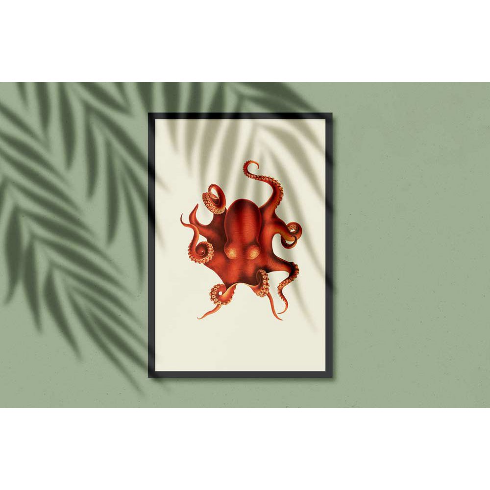 Octopus