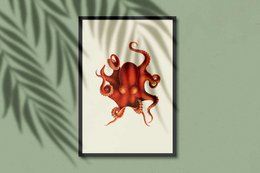 Pulpo