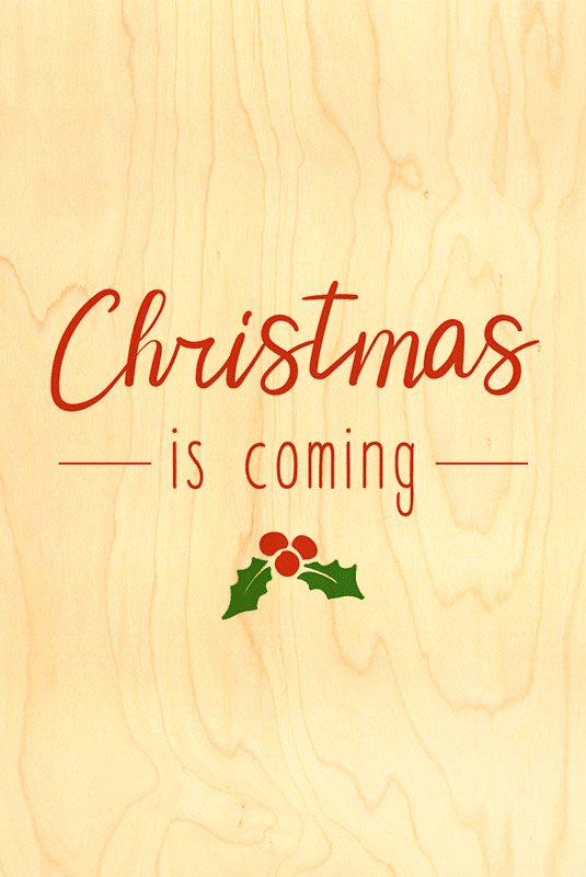 CARTE DE VOEUX / NOEL CHRISTMAS IS COMING