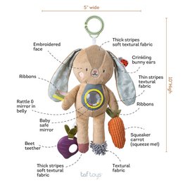 JENNY ACTIVITY TOY