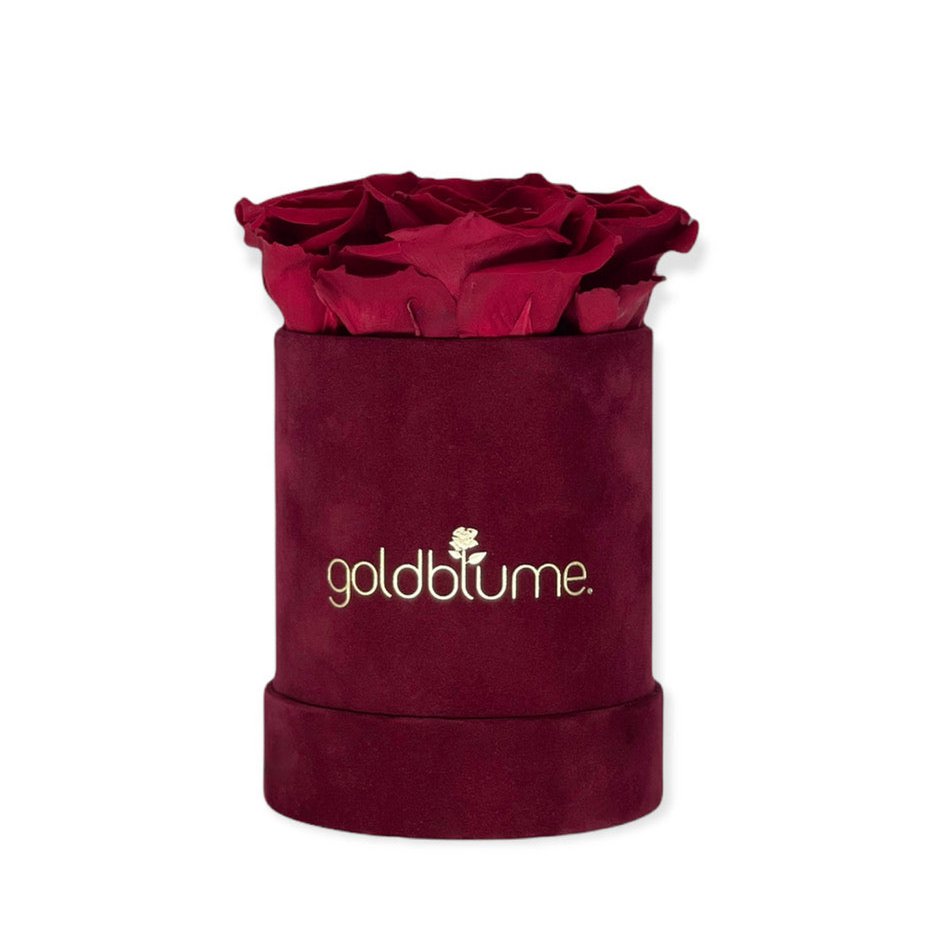 Collection Velours Bordeaux