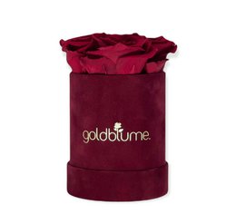Velvet Bordeaux Collection