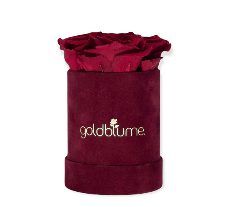 Velvet Bordeaux Collection