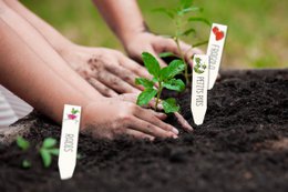 KIT PLASTIQUE RETRACTABLE ETIQUETTE POTAGER