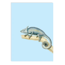 Postkarte Karma (Chameleon)