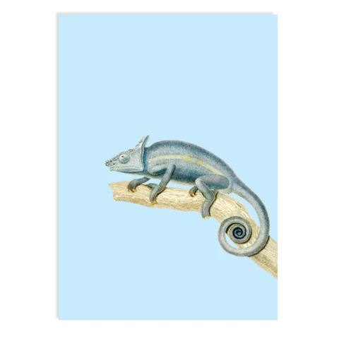 Postkarte Karma (Chameleon)