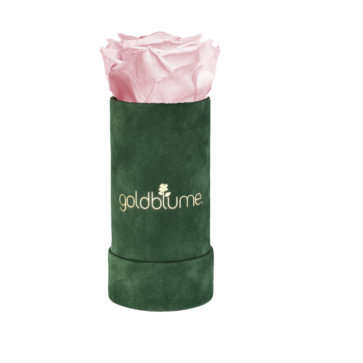 Velvet Green Collection