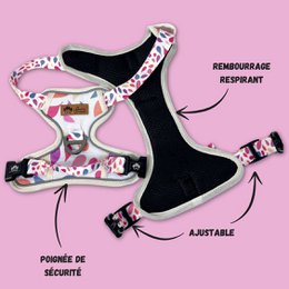 Petal Y Comfort Harness