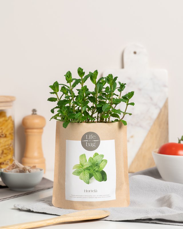Grow Bag Peppermint