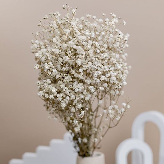 Ramo de flores secas de gypsophila blanca