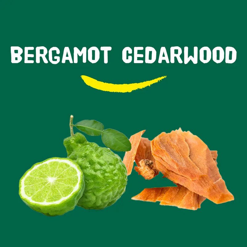Natuurlijke Douchegel Bergamot Cedarwood