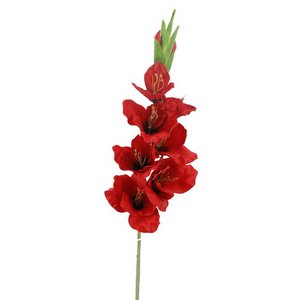 Gladiolox9 Saten Rojo 75cm(38)