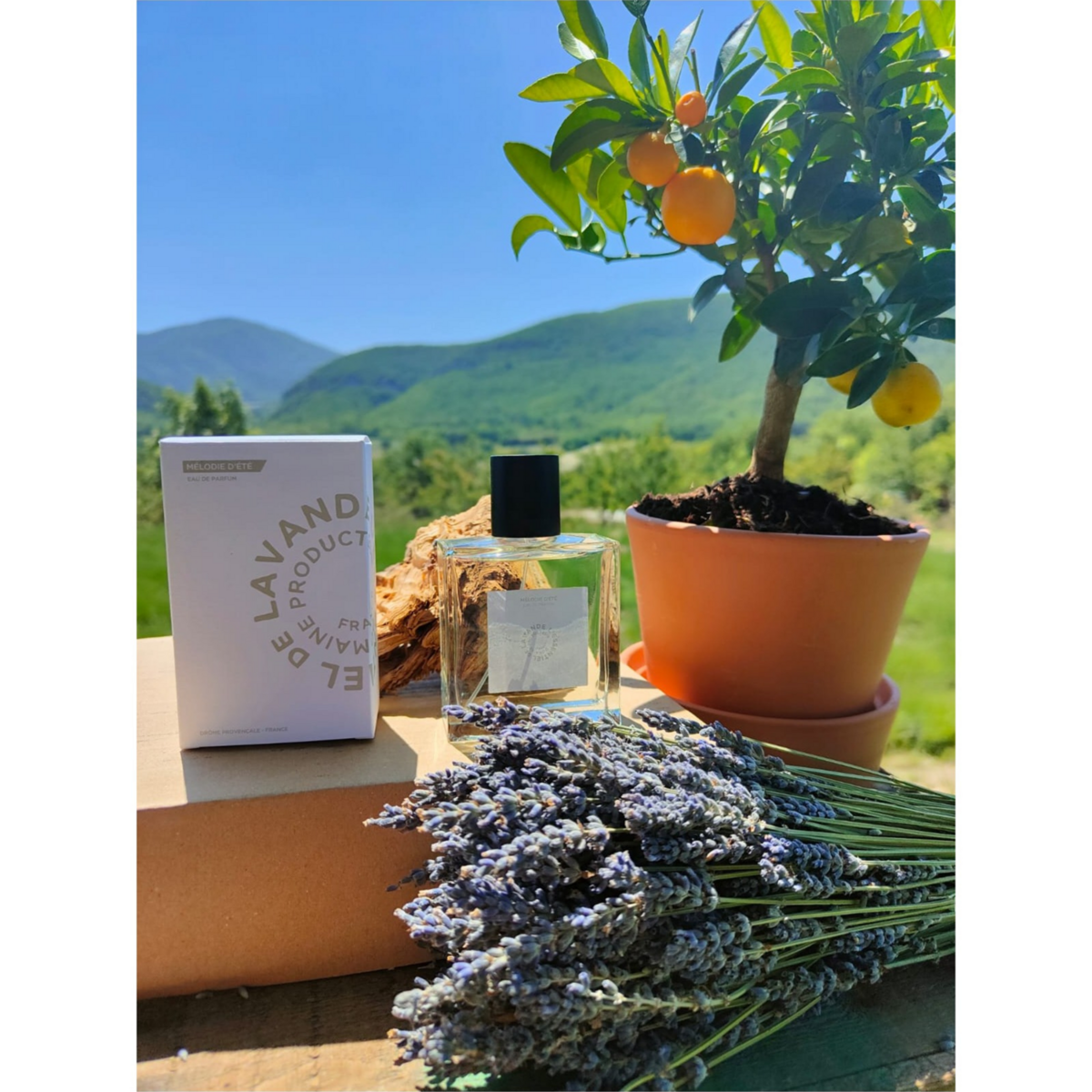 Mélodie d'été - Eau de parfum