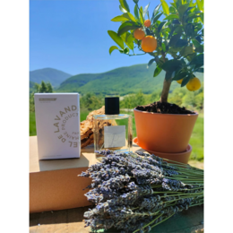 Summer melody - Eau de parfum