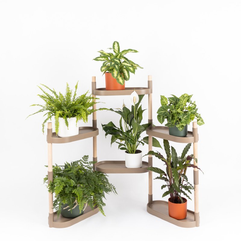Plantenplanken 6 trays