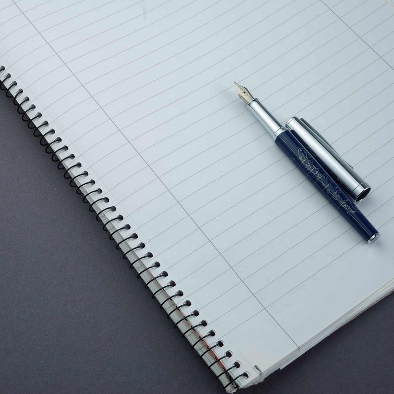Penna stilografica Terra