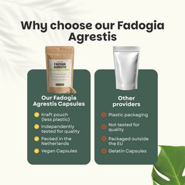 Fadogia Agrestis Kapsułki 500 mg - 60 Kapsułek
