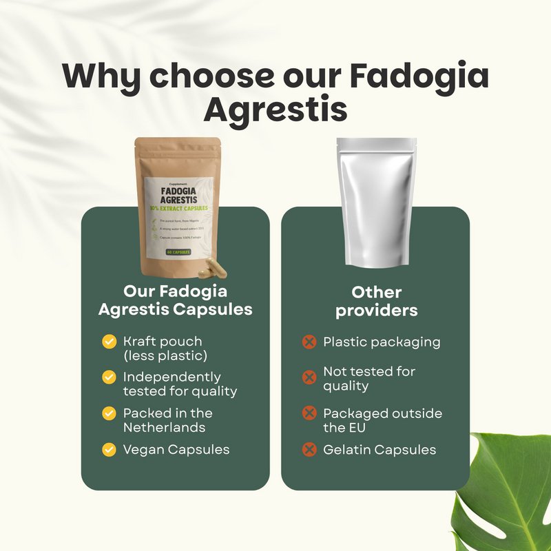 Fadogia Agrestis Kapsułki 500 mg - 60 Kapsułek