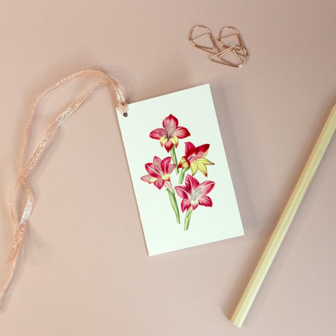 Red Gladiolus, Gift Tag - Botanical Vintage