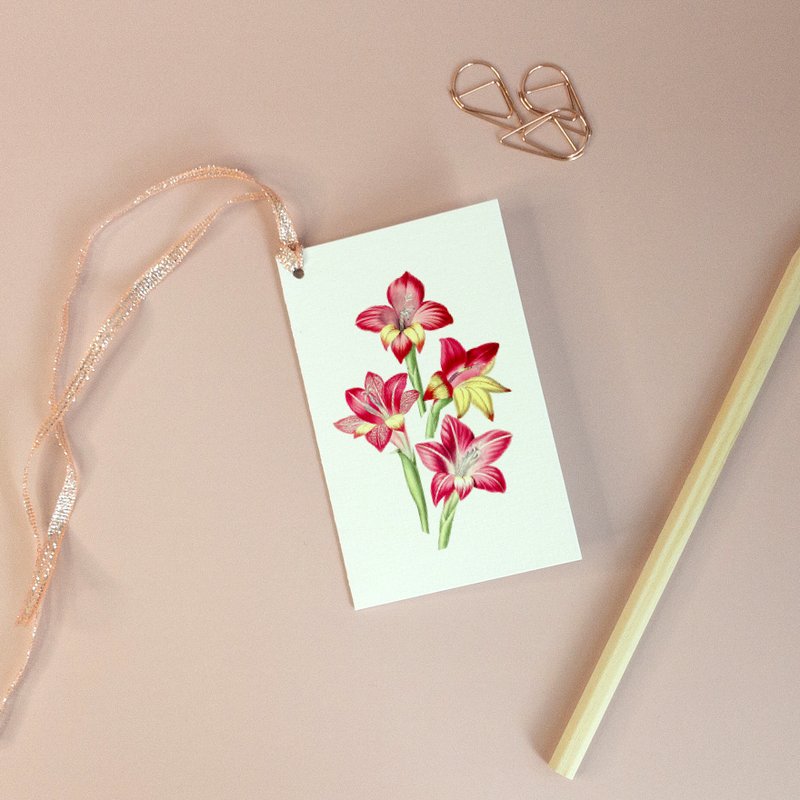 Red Gladiolus, Gift Tag - Botanical Vintage