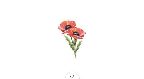 Temporary tattoo: Poppy