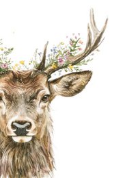 Nachhaltige Karte – Mein Hirsch
