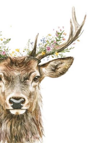 Sustainable card - My deer