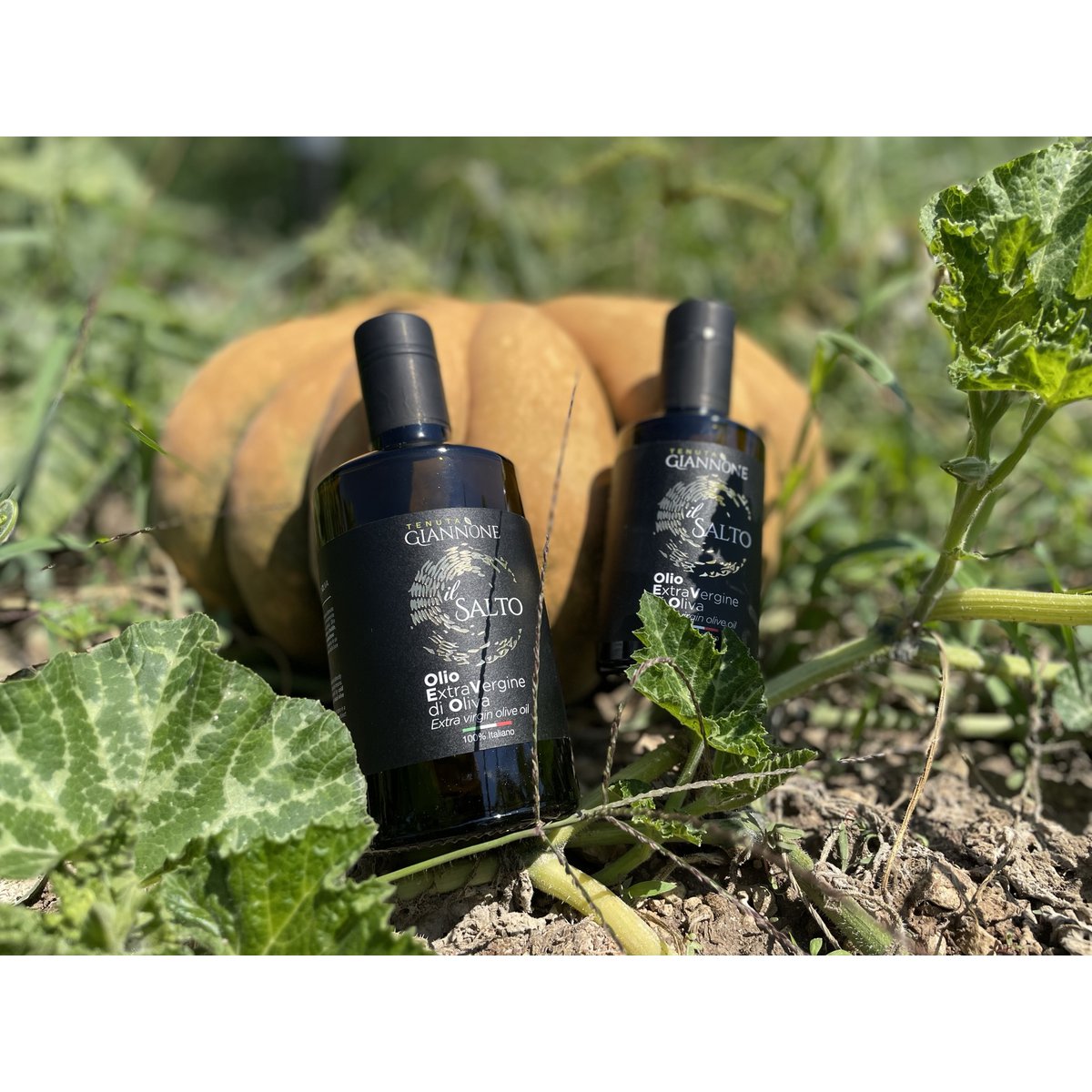 ITALIA | SICILIA | Extra Virgin Olive Oil - il SALTO | 250 ml