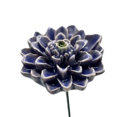 Dahlia Lyseblå