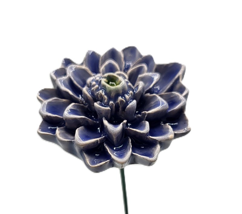 Dahlia Light blue