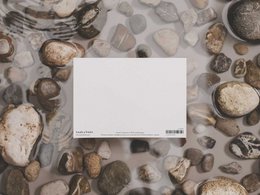 megattera | cartolina