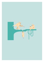 Poster di scimmia