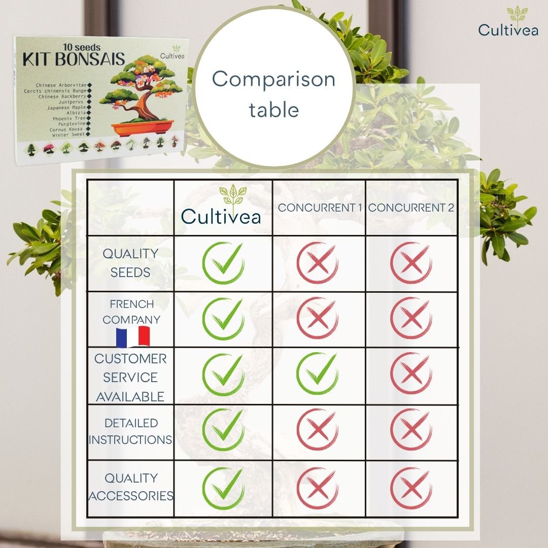 CULTIVEA® Kit of 10 Bonsai to Plant – Complete Box with Seeds, Pots, Tools & Instructions – Easy Indoor Planting Kit – Gardening Gift Idea | Made In France