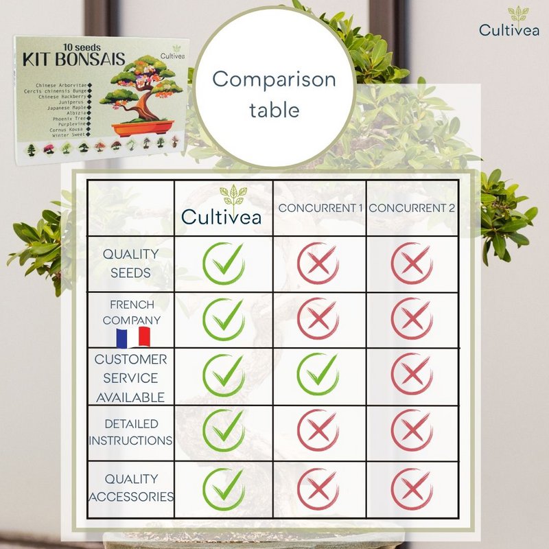 CULTIVEA®-sæt med 10 bonsai at plante – Komplet æske med frø, krukker, værktøj og instruktioner – Nemt indendørs plantesæt – Gaveidé til havearbejde | Fremstillet i Frankrig