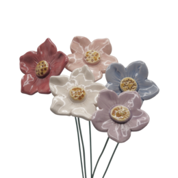 Petunie groß Rosa 5 cm