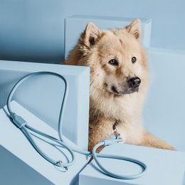 NE & No® Dog Lease "Loft Style" - Weerbestendig