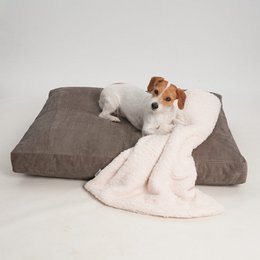 Hundekissen Madison stone