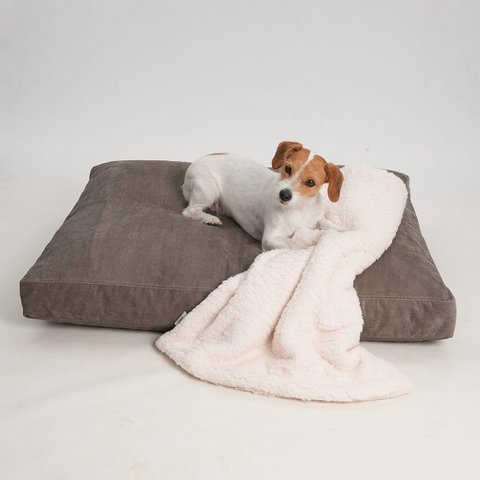 Hundekissen Madison stone
