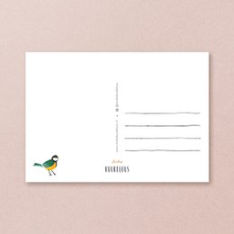 Postcard | Great tit | Birds