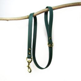 Standard dog leash