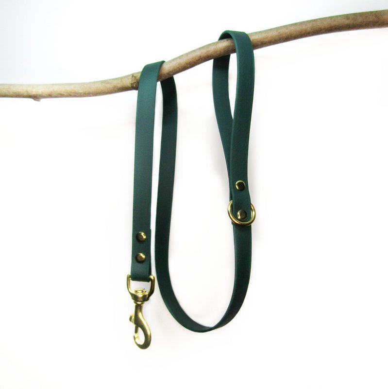 Standard dog leash
