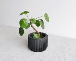 PRAHA Indoor Planter
