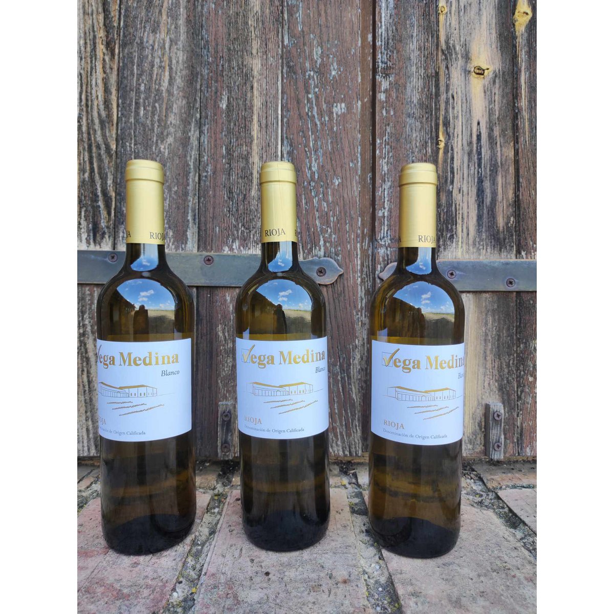 Young white wine D.O.Ca. Rioja Vega Medina