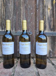 Young white wine D.O.Ca. Rioja Vega Medina